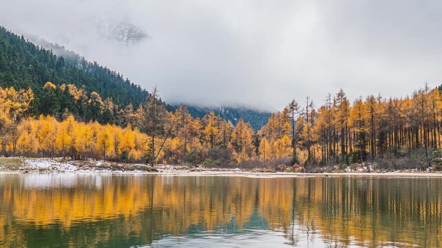 Timelapse of Bipenggou national park with snow mountains in autumn, Sichuan in China.