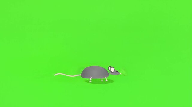 Animated Rat Walking Across Green Screen Background for Compositing