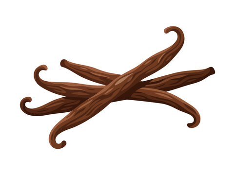 Dried vanilla beans, aromatic spice sticks