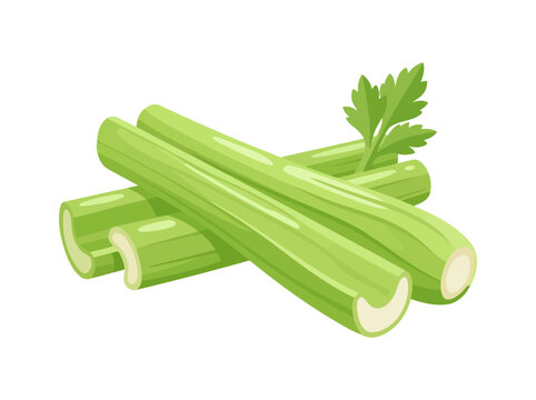 Fresh green celery stalks isolated on white background healthy raw vegetable