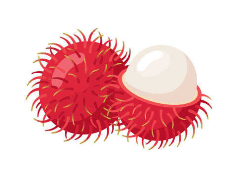 Fresh rambutan fruit isolated on white background