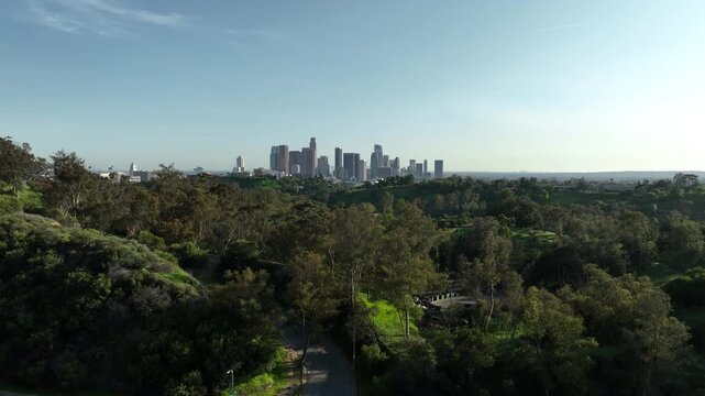 Los Angeles Downtown Beyond Forest Elysian Park Aerial Shot Forward California USA