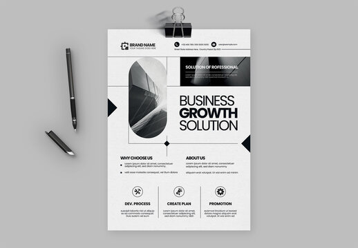 Professional Business Flyer Template
