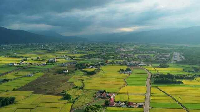 Aerial view of rice fields in Sanxing Township, Yilan County, Taiwan