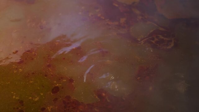 Birria cooking footage showing slow motion close up of birria broth during the traditional Mexican birria cooking process