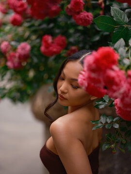 Asian Woman Posing Near Blooming Pink Roses Outdoors