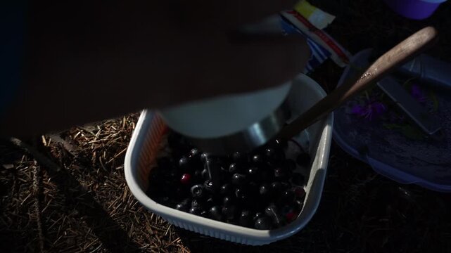 Fresh wild blueberries with oatmeal and condensed milk, mountain berry picking and healthy breakfast
