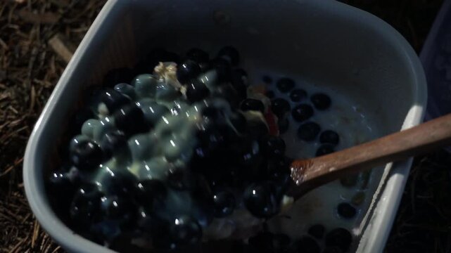 Fresh wild blueberries with oatmeal and condensed milk, mountain berry picking and healthy breakfast
