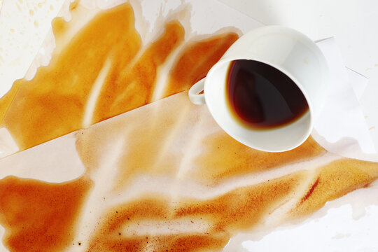 Spilled Coffee Cup on Documents