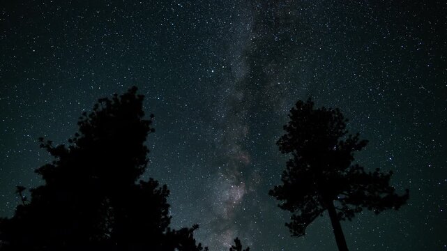 Milky Way Galaxy in South Sky Above Pine Trees 24mm Tilt Up Astrophotography Time Lapse California USA