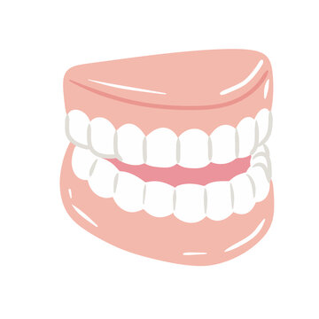 Dental dentures or false teeth isolated on a white background flat illustration