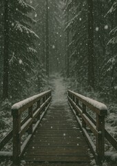 Obraz premium Snowy forest bridge tranquility