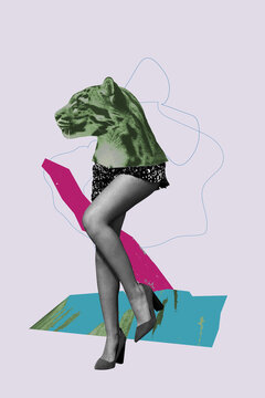 Vertical image sketch vertical collage of anonym girl instead head cat avatar wild animal zoo shelter gepard adoption safari