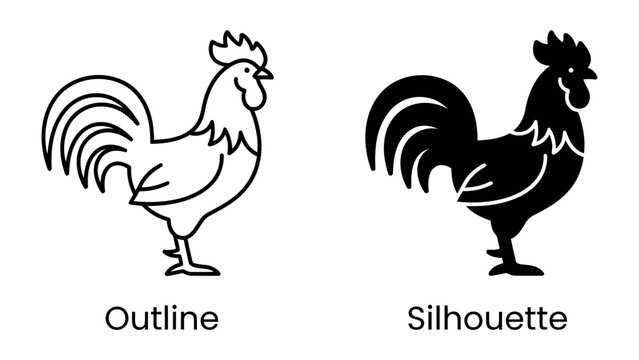 Rooster Outline and Silhouette: A clear graphic representation of a rooster, presented in both a simple outline and a solid black silhouette, perfect for design or educational purposes.