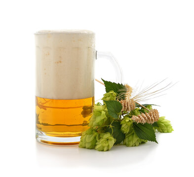 Glass mug of beer with thick foam, green hop cones and wheat ears.