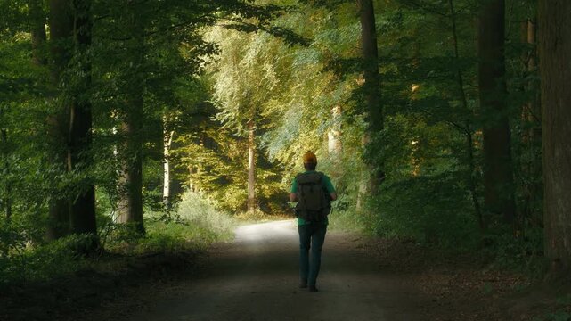 Male hiker with backpack walking on a scenic sunlit path in a green forest 