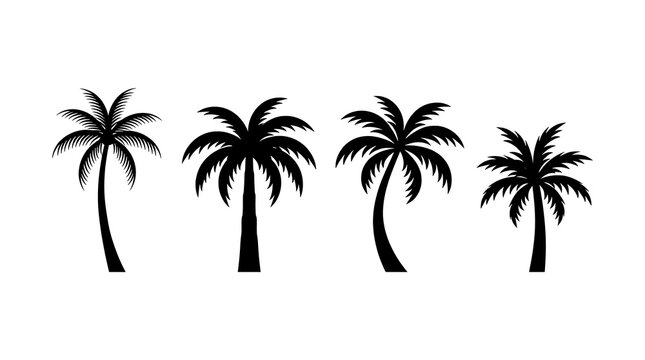 Silhouetted palm trees at sunset for tropical vacation or travel themes