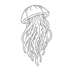 Minimalist Hand Drawn Jellyfish Line Art Illustration Icon © milami