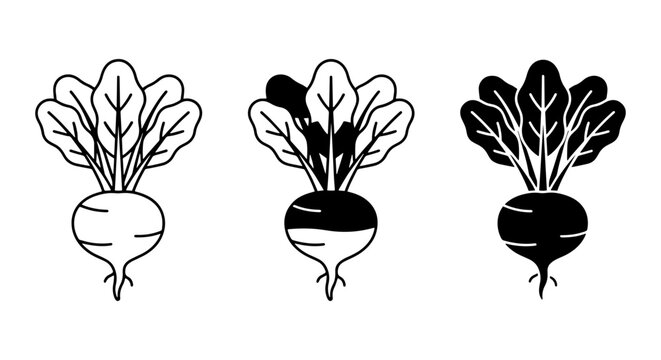 Beetroot Vector Icons, Simple Root Vegetable Illustrations, Healthy Food Graphics, Organic Produce Line Art