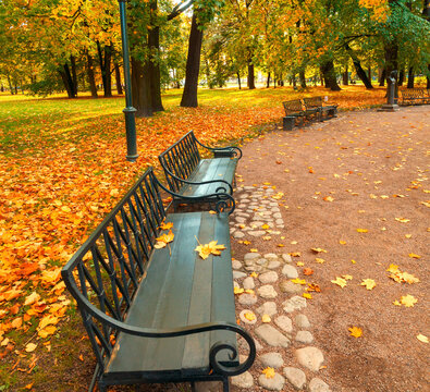 Autumn city park background, a row of benches in October park in cloudy day, focus at the autumn leaves lying on the nearest bench