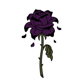 Dark Purple Rose Tattoo Illustration with Falling Petals