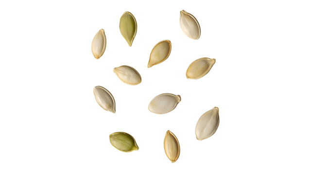 Scattered raw pumpkin seeds isolated in various positions and textures displayed on transparent background