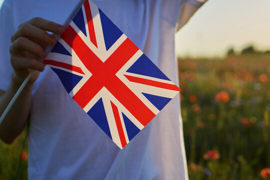 Person holding union jack flag in poppy field