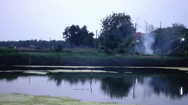 Thick layer of floating green duckweed and moss on a fish pond surface with countryside village background and smoke.