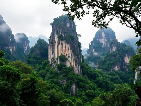 Towering limestone karsts rise from the misty jungle canopy, karst, nationalpark