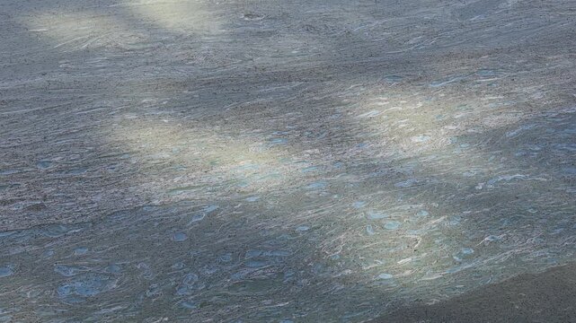 Sunlight and shadows moving over blue green algae blooming on water surface