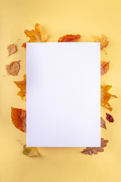 Bank card template with fall leaves. Flat lay composition with blank space and autumn leaves on golden yellow background 
