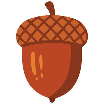 Brown autumn acorn oak nut fall thanksgiving vector illustration