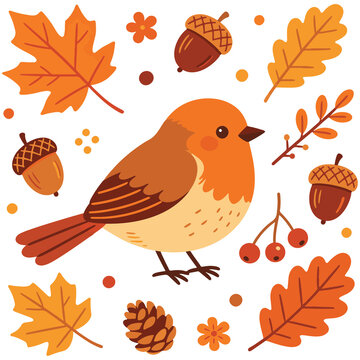 Set of cute autumn woodland elements robin bird leaves acorn and berries vector illustration