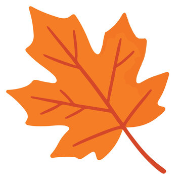 Orange autumn maple leaf fall foliage dry leaf vector illustration