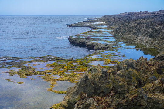 Rugged coral coast with natural tide pools and calm blue sea in Cura&ccedil;ao. Scenic view of rocky limestone shoreline with moss and shallow water pools along the Caribbean ocean.