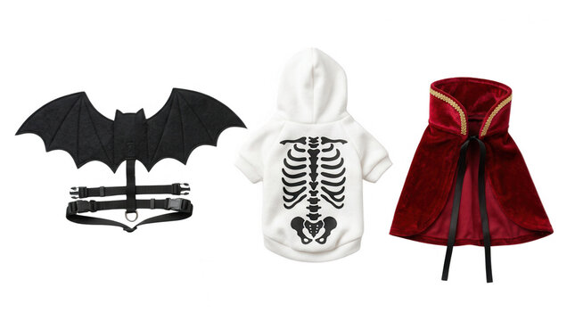 Creative halloween costumes for pets including bat wings skeleton hoodies and capes for fun celebrations