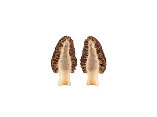 Naklejka premium Split Black Morel Revealing Its Hollow Chamber and Deeply Pitted Cap, Wild Foraged Fungi on Pure White