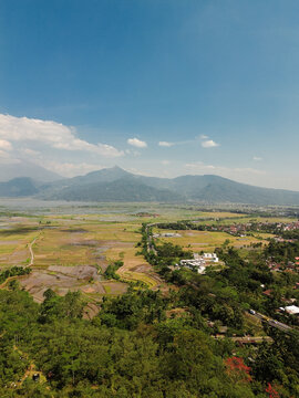 Aerial view of lush rice paddies and rural landscape stretching towards distant mountains under a clear blue sky in Semarang, Central Java, Indonesia.