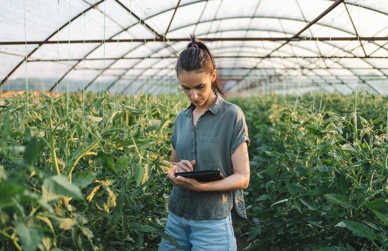 Greenhouse crop inspection with digital tablet
