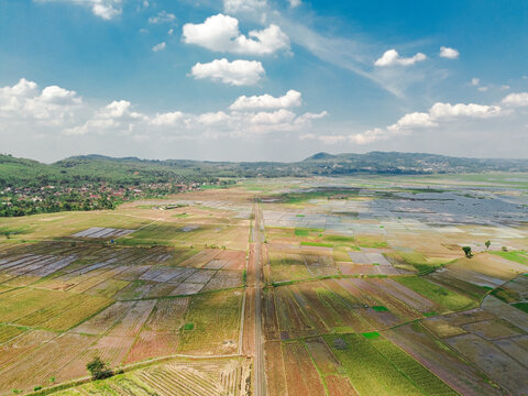 Aerial view of agricultural rice paddies divided by a straight road with distant hills under a blue sky in Semarang, Central Java, Indonesia.