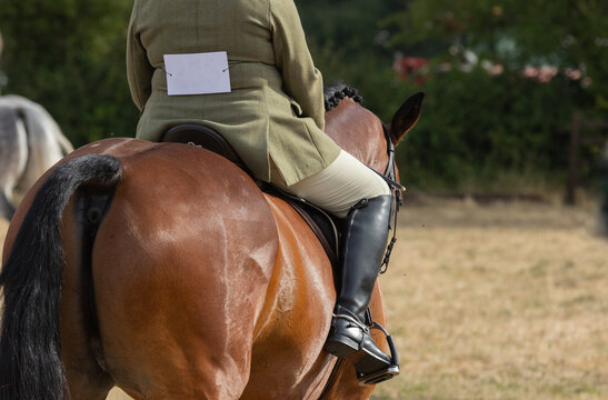 Rear view of a rider mounted on a horse during a horse showing event, showing the rider's position, riding attire and the horse's conformation.  Equine welfare and balance in equestrian sport. 