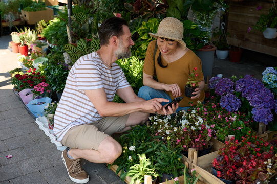 Couple Shopping At Outdoor Plant Market: Asian Woman And Man Selecting Potted Flowers Together
