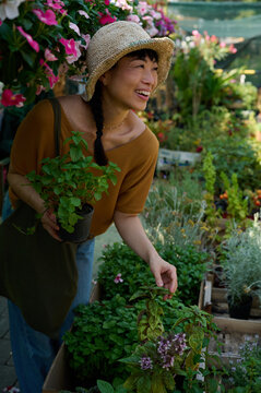 Asian Woman Shopping For Potted Herbs At Outdoor Plant Nursery Wearing Straw Hat