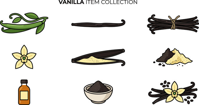 Set of hand drawn vanilla icons and elements for culinary design.