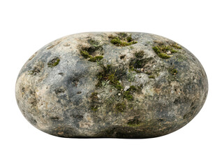 Fototapeta premium Single natural river stone with green moss isolated on white background