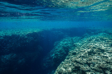 Healthy tropical coral reef surrounded by clear blue water © Satoshi