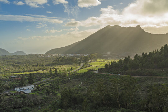 View of the Chinyero volcano landscape with lush green fields, pine trees, and a winding road under a bright sky with sun rays in Santa Cruz de Tenerife, Canarias, Spain.