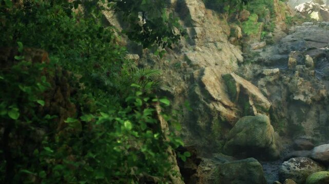 The scene shows dense greenery covering rocks in a natural area. Water can be seen trickling in the background. Sunlight filters through the leaves, creating a bright atmosphere.