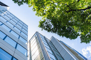 Obraz premium Green Building Modern Office Facade with Green Tree Canopy for Corporate ESG Sustainability and Eco Friendly Urban Real Estate Development, Low Angle Perspective Photo