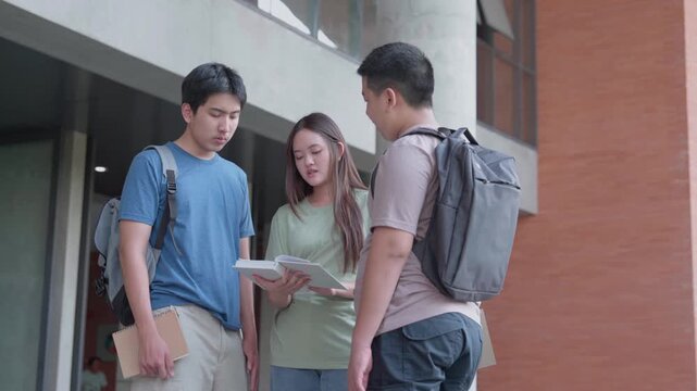 College Campus Conversation: Capturing the essence of collegiate life, a group of students engages in an animated discussion, perhaps about coursework or a shared project.